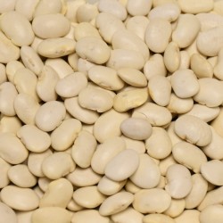 Fazole velká bílá