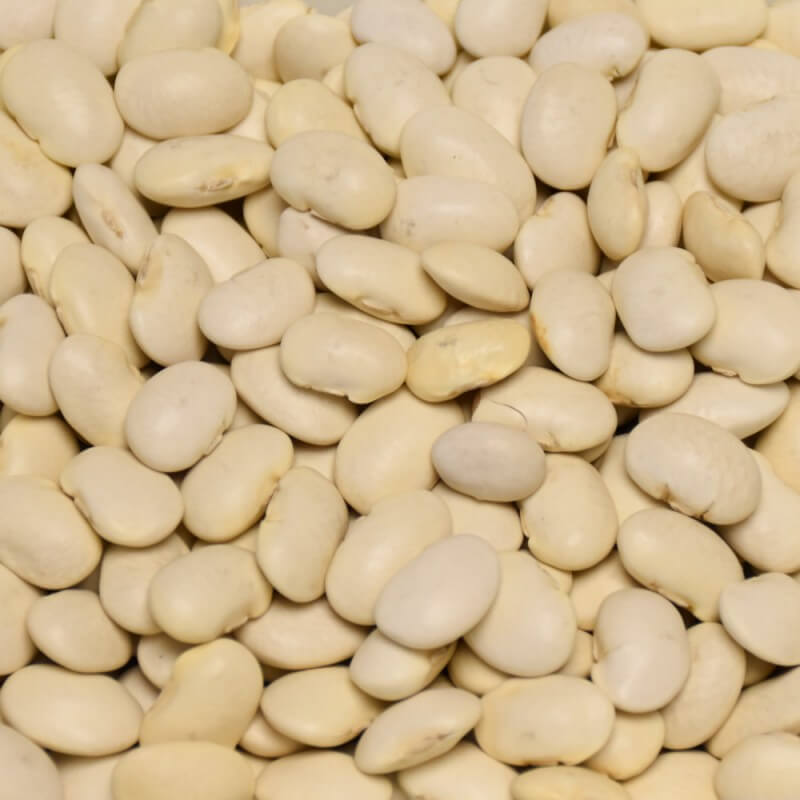 Fazole velká bílá