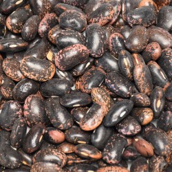 Fazole velká barevná