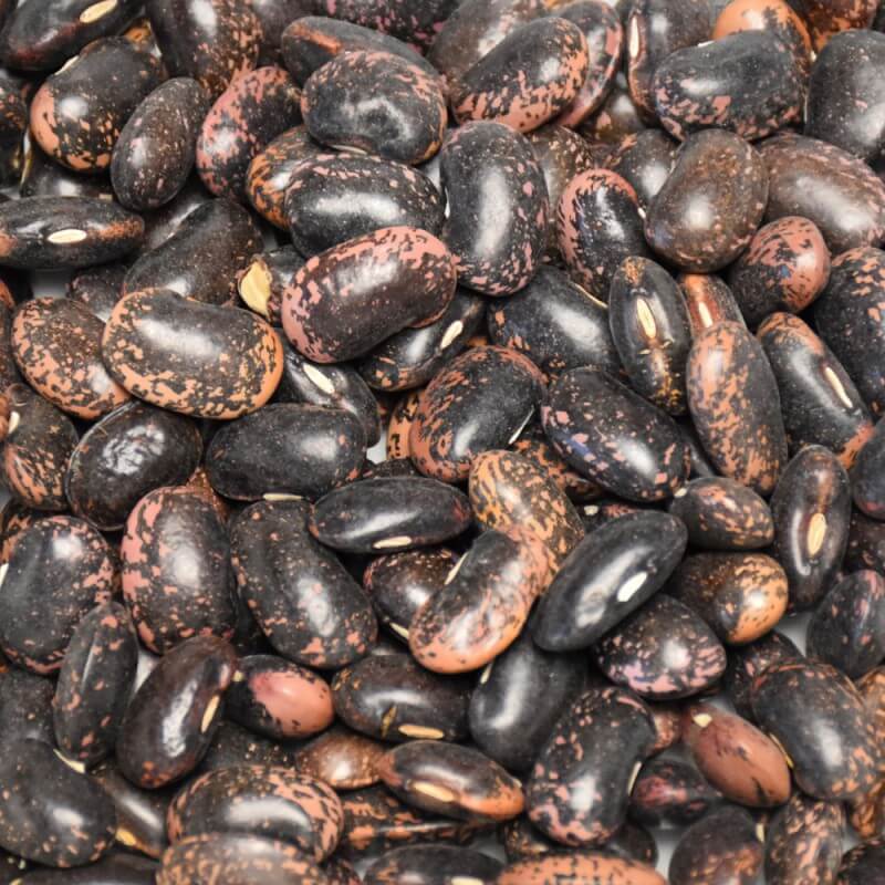 Fazole velká barevná