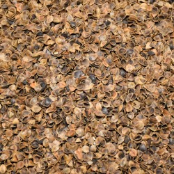 Pohánkové šupky výplň 1 kg