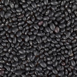 Fazole malá černá