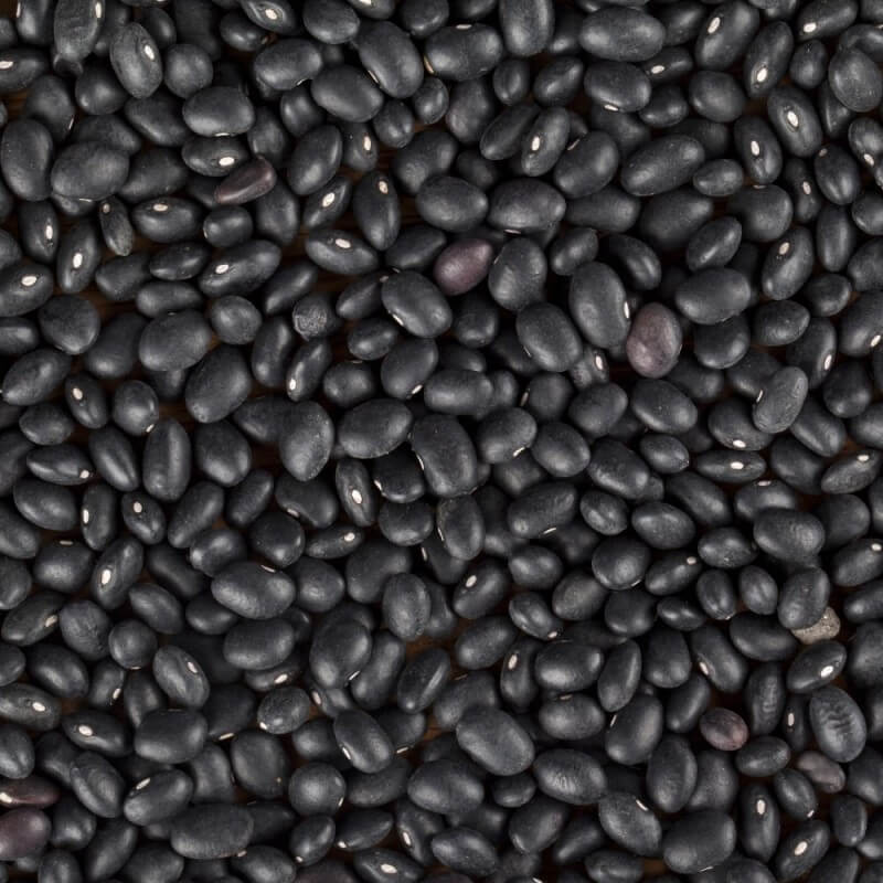 Fazole malá černá