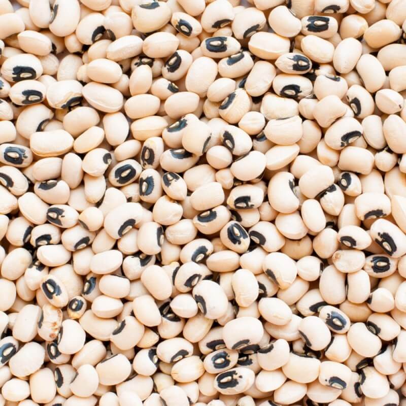 Fazole malá černé oko