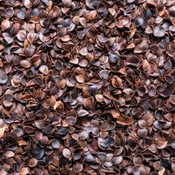 Pohankové slupky Šmajstrla