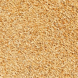 Quinoa bílá Život bez lepku