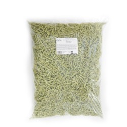 Gutini bezlepkové těstoviny špenátové 5 kg