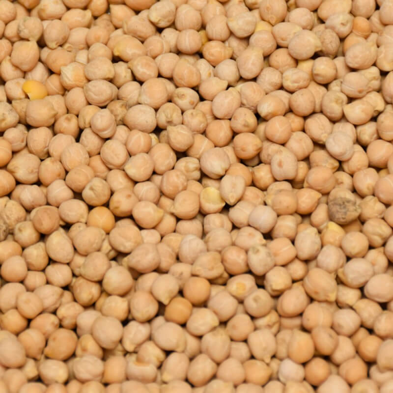 BIO cizrna / cícer Život bez lepku