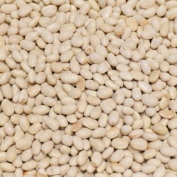 BIO fazole malá bílá Život bez lepku