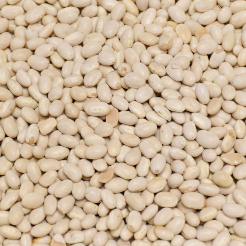 BIO fazuľa malá biela Život bez lepku