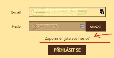 Zapomenuté heslo