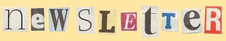 Newsletter Bezlepkový občasník